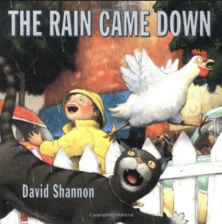 The Rain Came Down, David Shannon, Blue Sky Press.